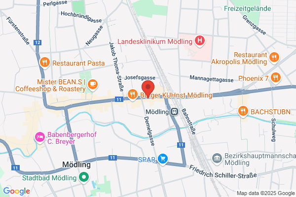 Heinrich Moser Ges.m.b.H.
