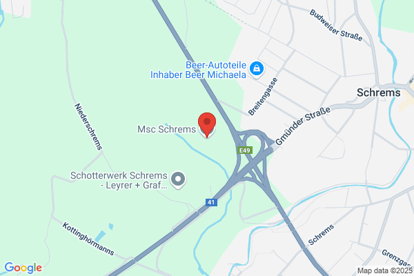 MSC Schrems