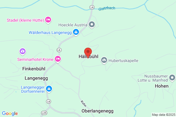 Bregenzerwaelder Dorfmusikanten