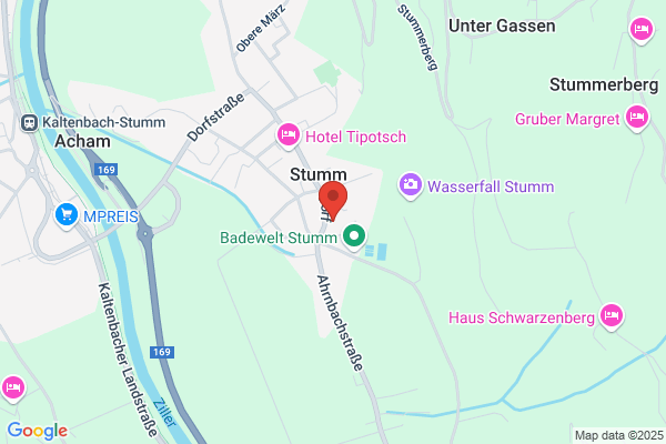 Anna Hollaus