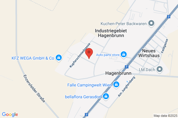 Hahn OEG