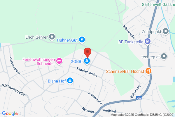Brunner Manfred Stukkateur- u Verputz GesmbH