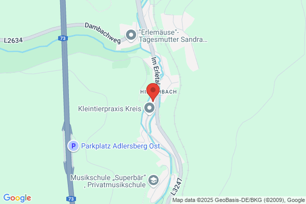 Hotel zum goldenen Hirschen