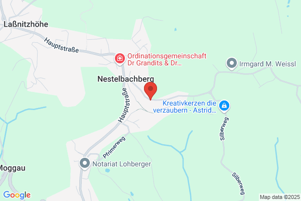 Baumstumpffraese Ewald Horvath