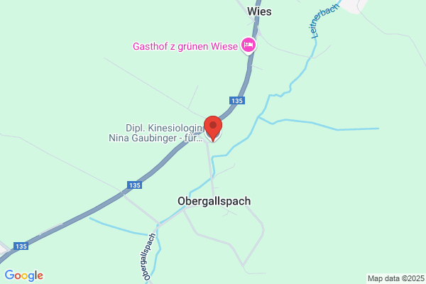 Dipl. Kinesiologin Nina Gaubinger - für Mensch und Tier - Pferdegestütztes Coaching