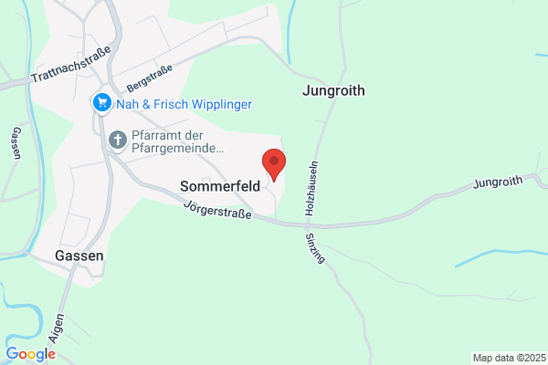 Hofwimmer Elfriede Dipl-Log