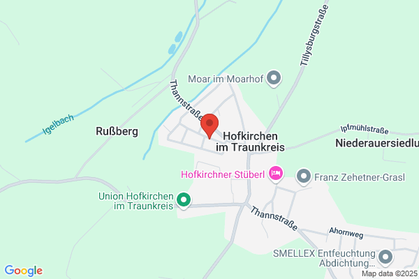 Ing. Friedrich Wieder