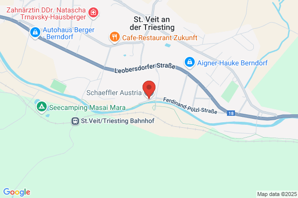 Schaffler und Co GesmbH