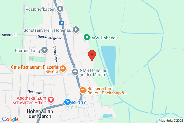 SV Ringelsdorf