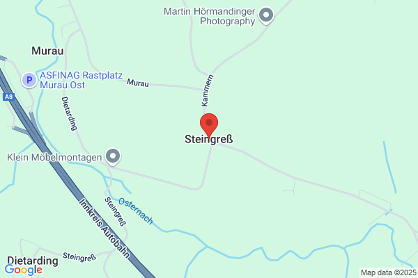 Johann Steingress