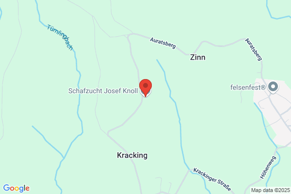 Josef Knoll