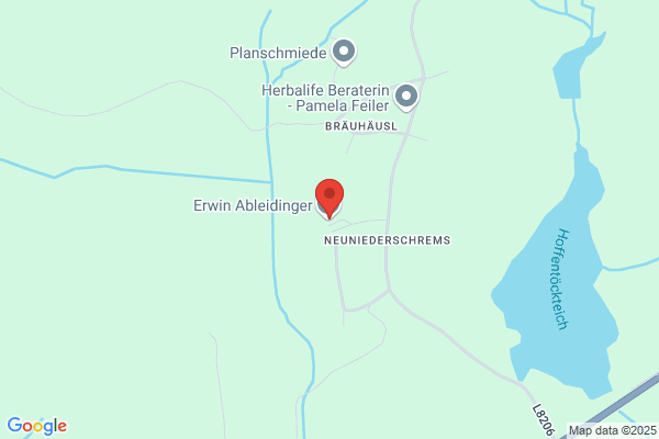Ableidinger Erwin Wirschaftstreuhänder - Steuerberater
