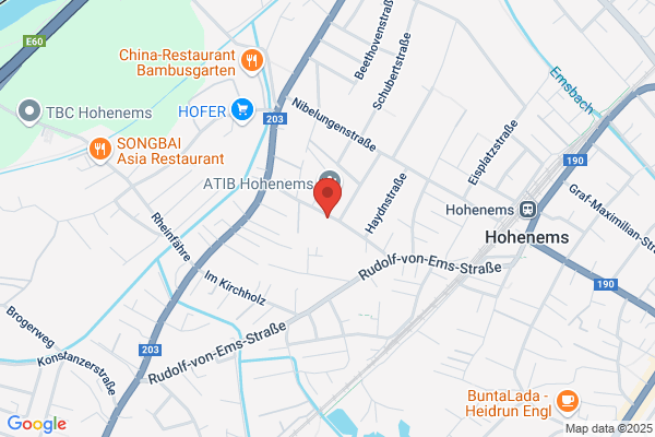 Wohlgenannt Eugen Bmstr Ing