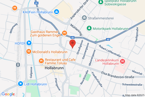 Dr. med. univ. Heide Maria Löhlein