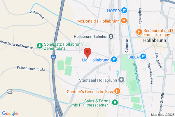 Frank Stronach Fussball- Nachwuchs-Akademie Hollabrunn