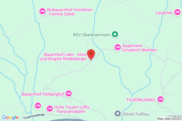 Bauernhof Lahn - Alois u Brigitte Riedlsberger