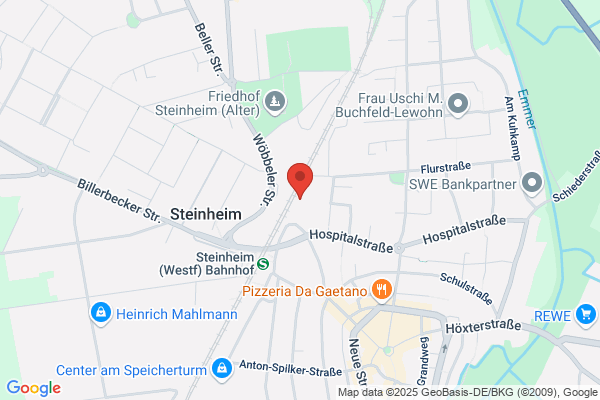 Steinheimer und Martinetz OEG