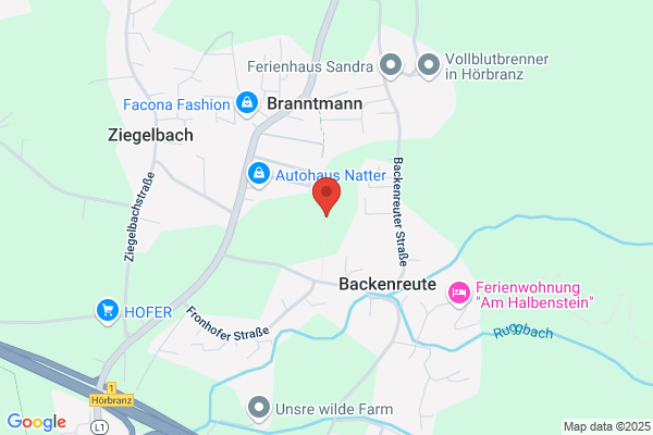 Karl Brunnmayr