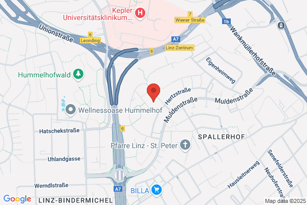 Artemide Handelsgesellschaft m.b.H. Filiale 4020 Linz 303752869