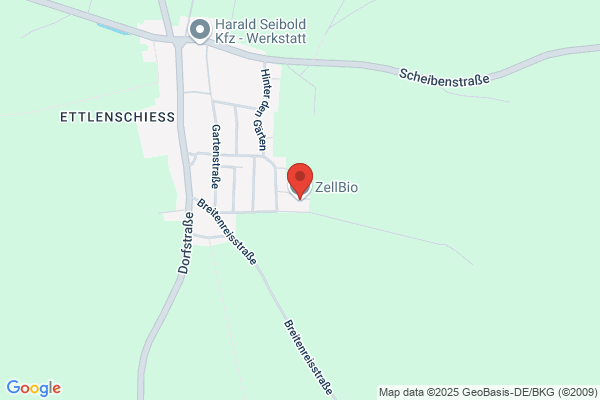 Zellulosefaser Beteiligungsgesellschaft m b H