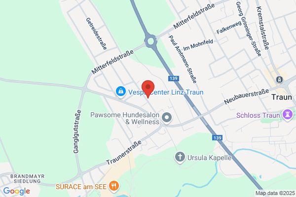 SK Voest Linz Ing. H. Hollinetz