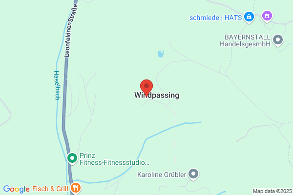 Wiesinger Walter Mag