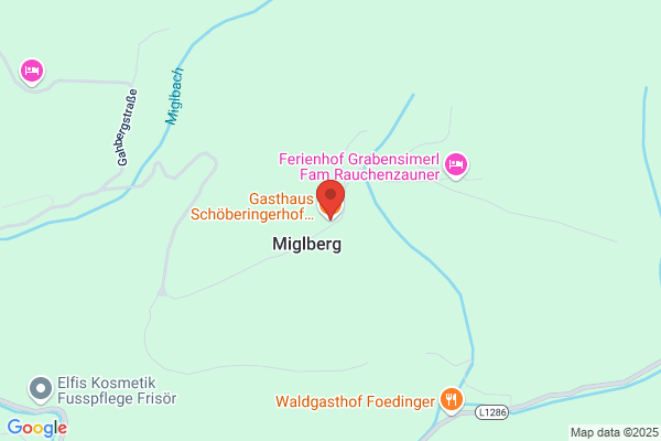 Gasthof Schoeberingerhof - Franz Reisinger