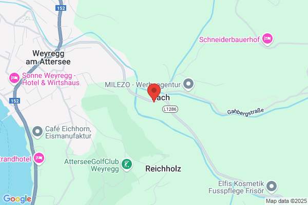 Restaurant Bachtaverne