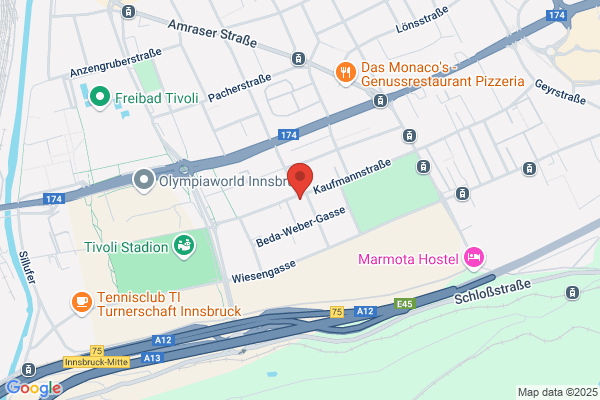 FRONIUS INTERNATIONAL GMBH