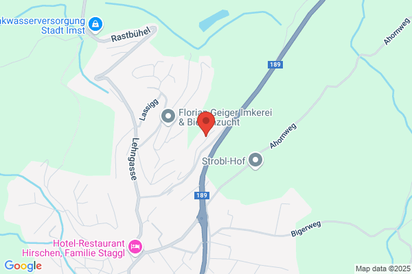 BOL-Buchh.-Org.-Lohnverrechn. Buchpruefungsgesellschaft m b H