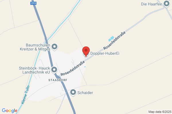 Leopold Doppler