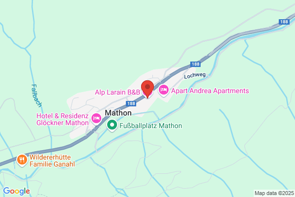Hotel Alp Larain