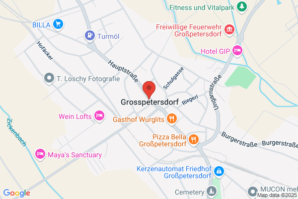 Ing. Ladislaus Dorner Gesellschaft m.b.H.