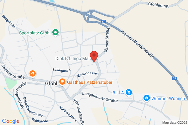 Dipl-TA Mag. Ingo Mai