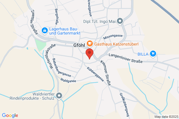 Friedrich Steindl GmbH