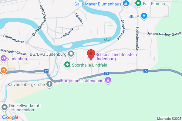 Dipl.Ing. Prinz von Luitplod Lichtenstein