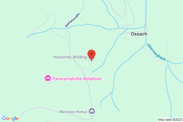 Holz- ernte - Holzschlaegerungs- u Holzbringungsgesellschaft mbH