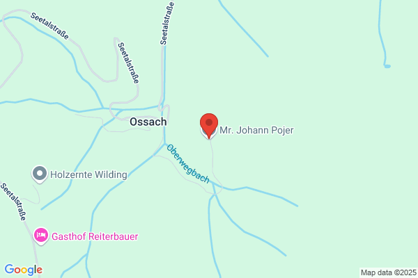 Johann Pojer