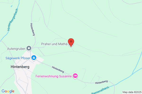 Praher und Mathae Malereibetriebsges. mbH