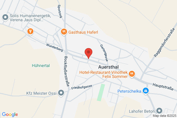 Berner Sennenhunde Zuchtverband Österreich