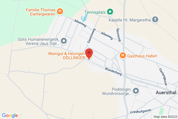 Doellinger Weingut