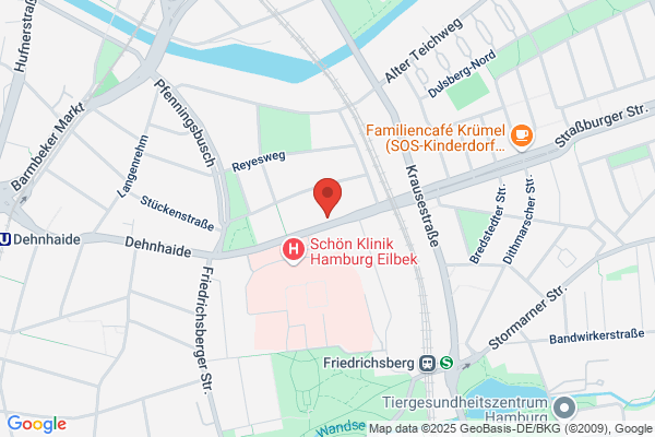 A.S.S. Beratungsagentur fuer Schutz und Sicherheit GmbH