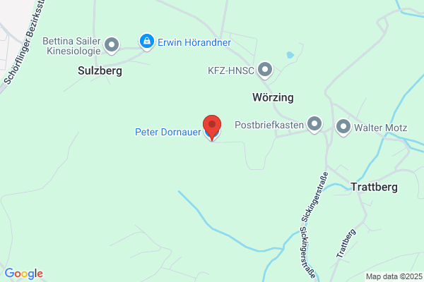 Dornauer Peter Vieh- u Fleischhandel