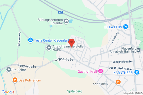 PAMIS EDV Organisations-GesmbH