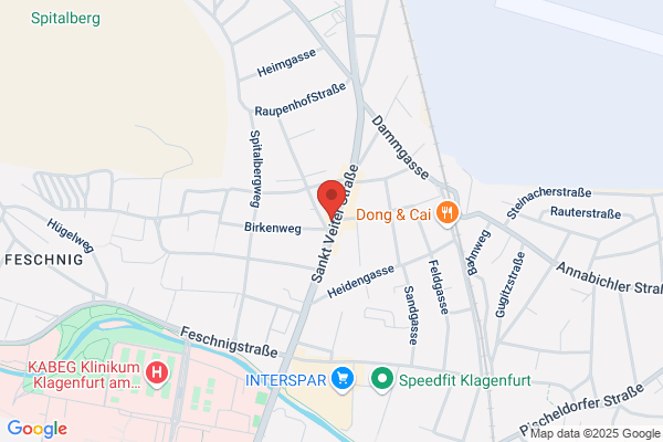 Pan Electronic HandelsgesmbH