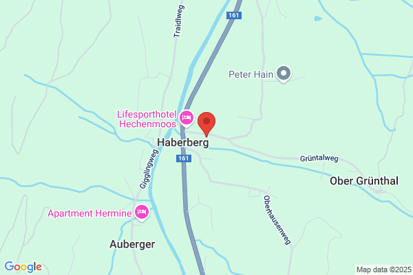 Hotel Wiesenegg in Aurach bei Kitzbühel