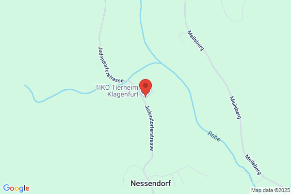 Landestierschutzverein Kaernten