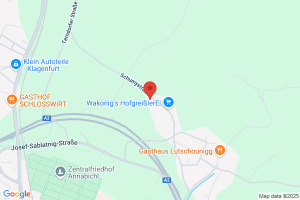 Gottfried Wakonig