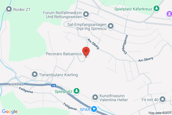 Acetaia Pecoraro Gesellschaft m.b.H.