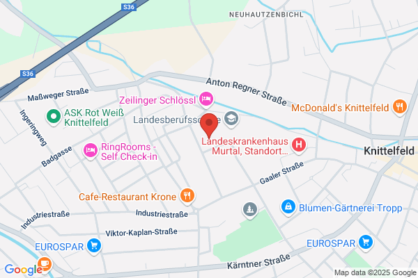 T.D.S. Trausner und Co OEG